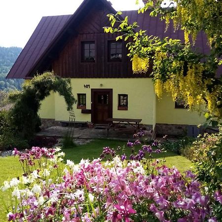 Apartments Vecernik Rokytnice Rokytnice nad Jizerou Extérieur photo