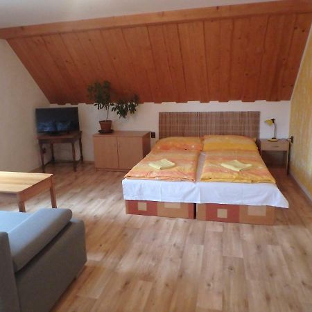 Apartments Vecernik Rokytnice Rokytnice nad Jizerou Extérieur photo