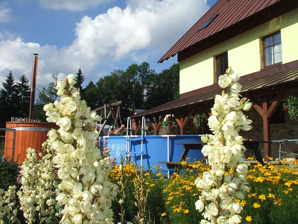 Apartments Vecernik Rokytnice Rokytnice nad Jizerou Extérieur photo