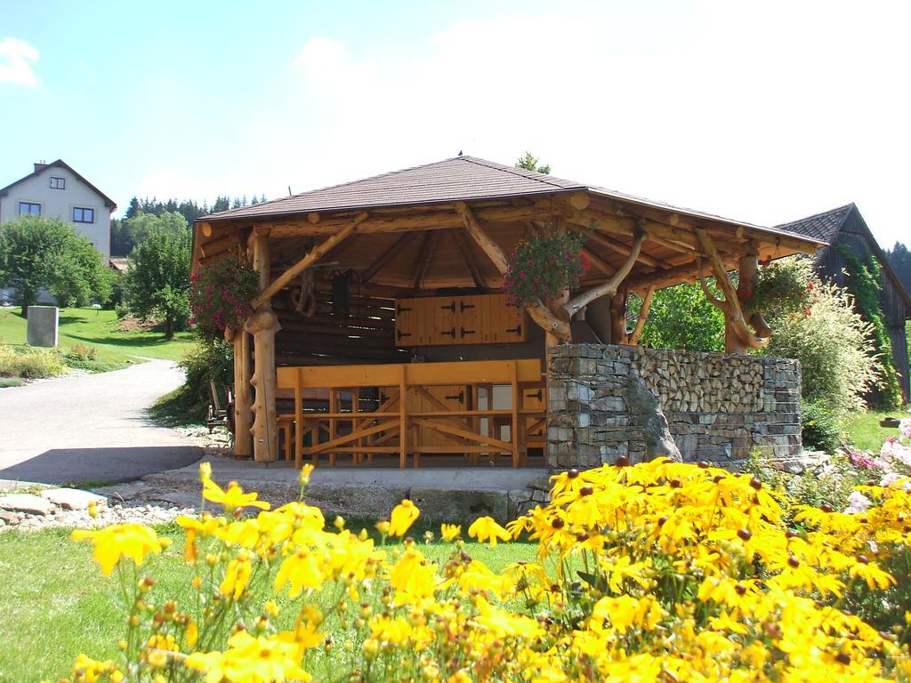 Apartments Vecernik Rokytnice Rokytnice nad Jizerou Extérieur photo