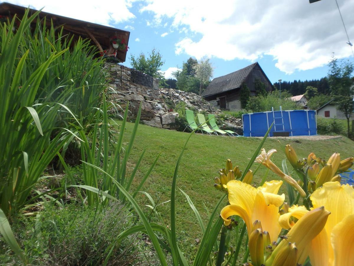 Apartments Vecernik Rokytnice Rokytnice nad Jizerou Extérieur photo