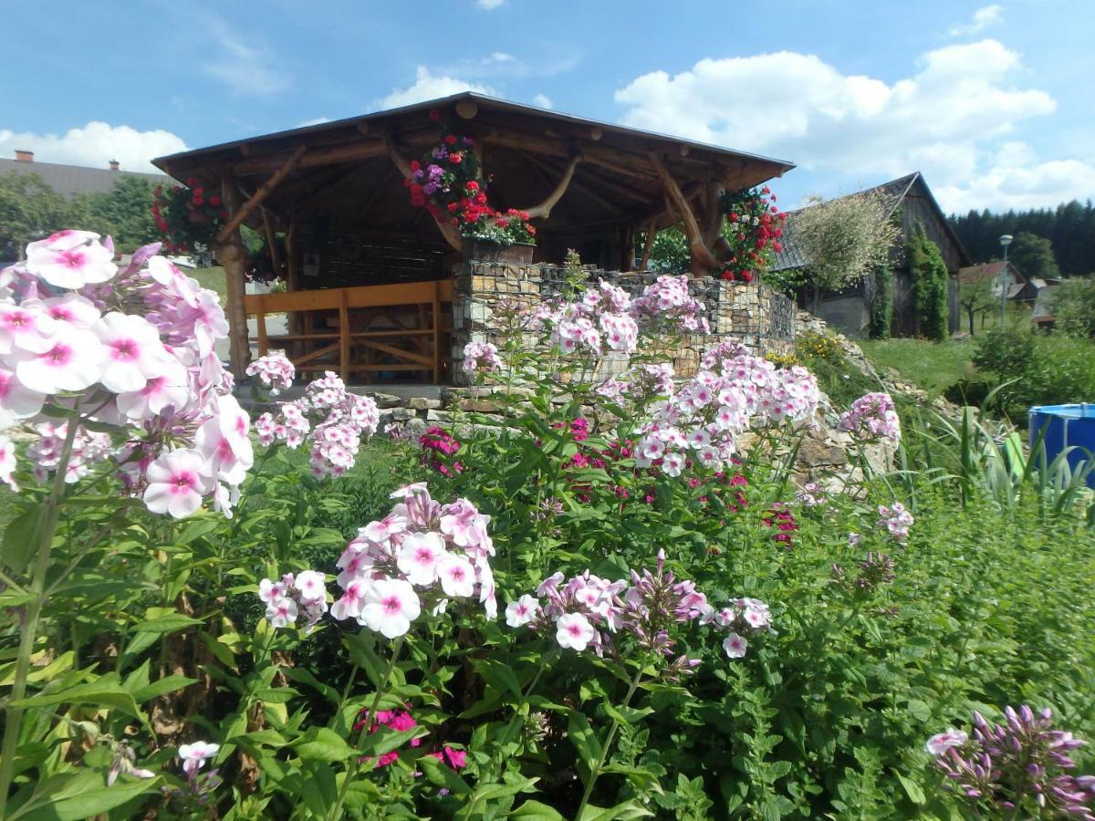 Apartments Vecernik Rokytnice Rokytnice nad Jizerou Extérieur photo