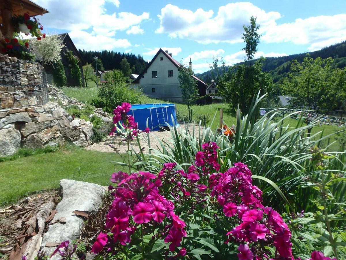 Apartments Vecernik Rokytnice Rokytnice nad Jizerou Extérieur photo