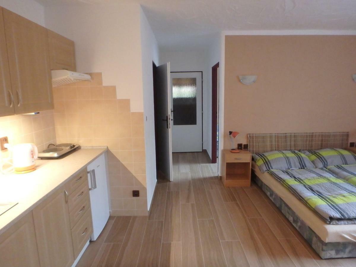Apartments Vecernik Rokytnice Rokytnice nad Jizerou Extérieur photo
